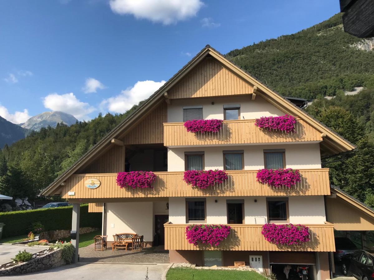 Apartments Maja By The River 博希尼 外观 照片